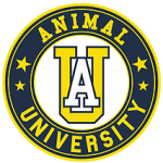 animal university