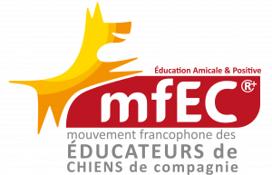 Bienvenue - MFEC | Mouvement professionnel Francophone des Educateurs ...