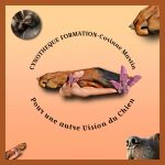 Formation validée Cynothèque
