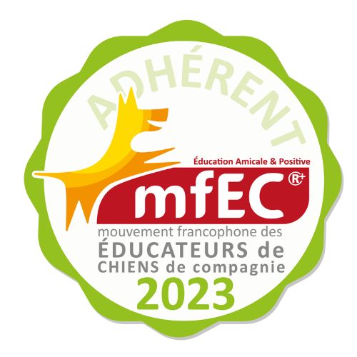 Macaron adhérent 2023